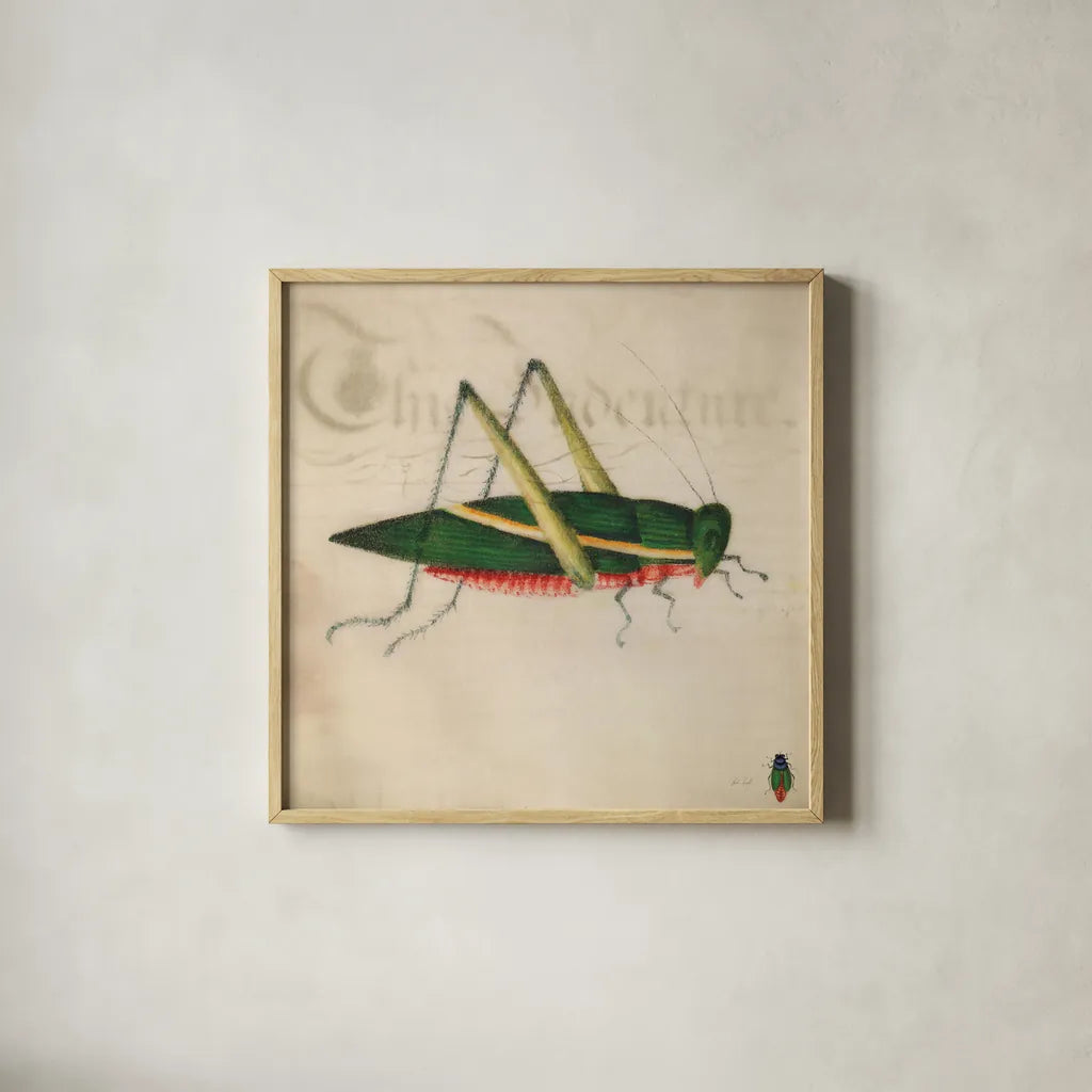 Vintage Green Grasshopper by Deborah Revell. Shown in a natural wood glass frame for a timeless modern aesthetic. Available as an archival giclee rolled canvas, fine art paper, or poster print. SKU 91136a.
