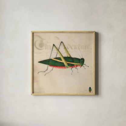 Vintage Green Grasshopper by Deborah Revell. Shown in a natural wood glass frame for a timeless modern aesthetic. Available as an archival giclee rolled canvas, fine art paper, or poster print. SKU 91136a.