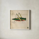 Vintage Green Grasshopper by Deborah Revell. Shown in a crisp white glass frame for a clean and minimalist style. Available as an archival giclee rolled canvas, fine art paper, or poster print. SKU 91136a.