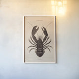 Vintage Lobster by Deborah Revell. shown as a paper print in a white frame. Available as a archival giclee rolled canvas, fine art paper, or poster print. SKU 95172h.