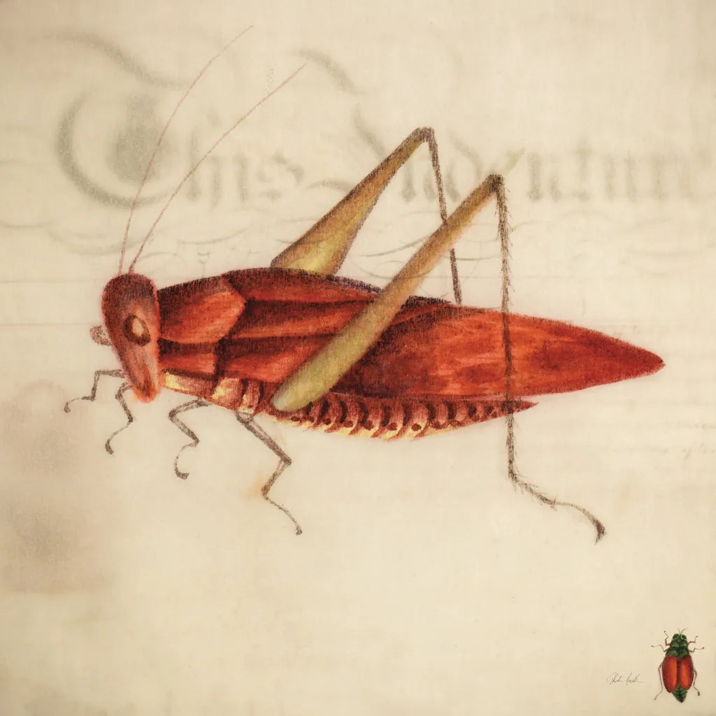 Vintage Red Grasshopper by Deborah Revell. SKU 91137a. Archival Giclee Fine art print for wall decor.