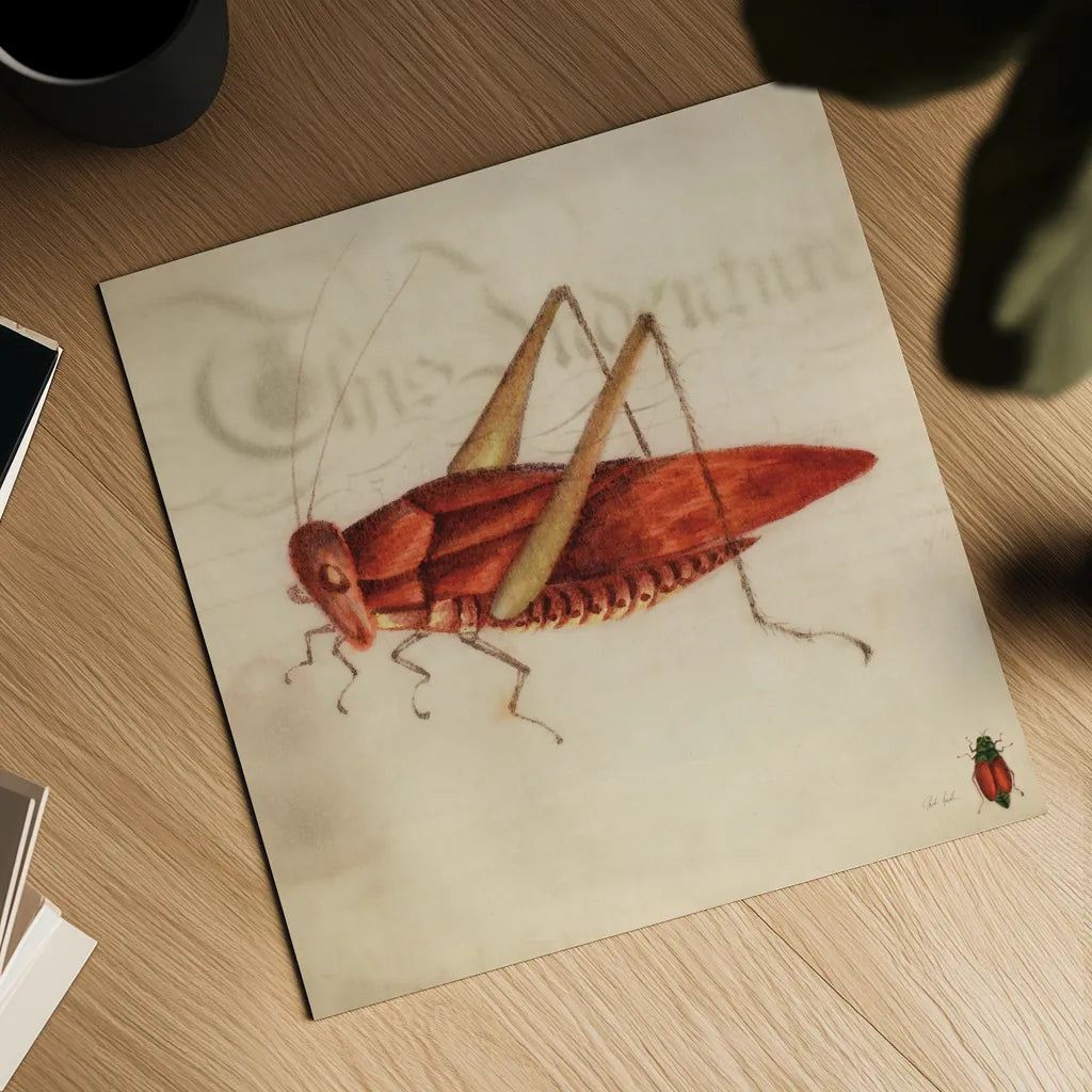 Vintage Red Grasshopper by Deborah Revell. Shown as a detailed flat fine art print, highlighting archival giclee quality. Available as an archival giclee rolled canvas, fine art paper, or poster print. SKU 91137a.