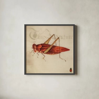 Vintage Red Grasshopper by Deborah Revell. Shown in a sleek black glass frame for a contemporary gallery look. Available as an archival giclee rolled canvas, fine art paper, or poster print. SKU 91137a.
