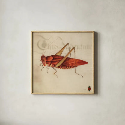 Vintage Red Grasshopper by Deborah Revell. Shown in a natural wood glass frame for a timeless modern aesthetic. Available as an archival giclee rolled canvas, fine art paper, or poster print. SKU 91137a.