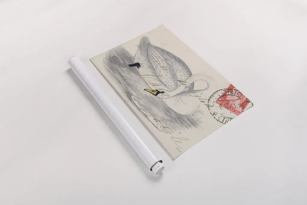 Vintage Swan by Deborah Revell. shown as a rolled paper print. Available as archival giclee rolled canvas, fine art paper, or poster print. SKU 100615i.