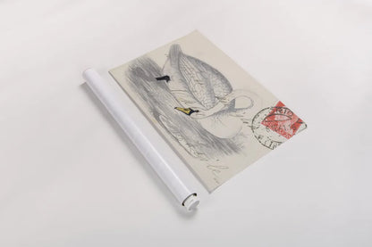 Vintage Swan by Deborah Revell. shown as a rolled paper print. Available as archival giclee rolled canvas, fine art paper, or poster print. SKU 100615i.