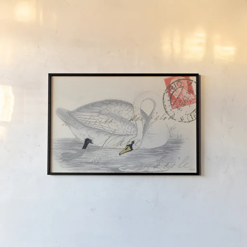 Vintage Swan by Deborah Revell. shown as a paper print in a black flame. Available as a archival giclee rolled canvas, fine art paper, or poster print. SKU 100615i.