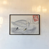 Vintage Swan by Deborah Revell. shown as a paper print in a black flame. Available as a archival giclee rolled canvas, fine art paper, or poster print. SKU 100615i.