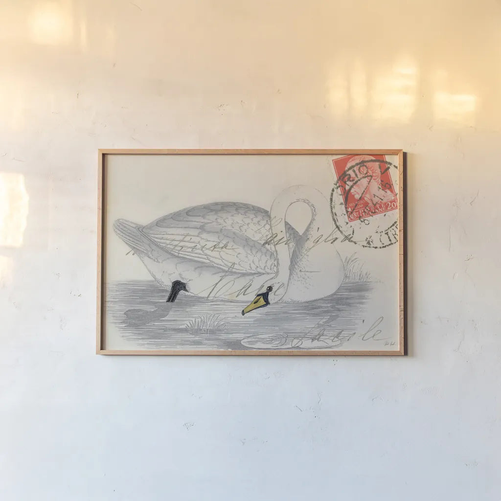 Vintage Swan by Deborah Revell. shown as a paper print in a natural frame. Available as a archival giclee rolled canvas, fine art paper, or poster print. SKU 100615i.