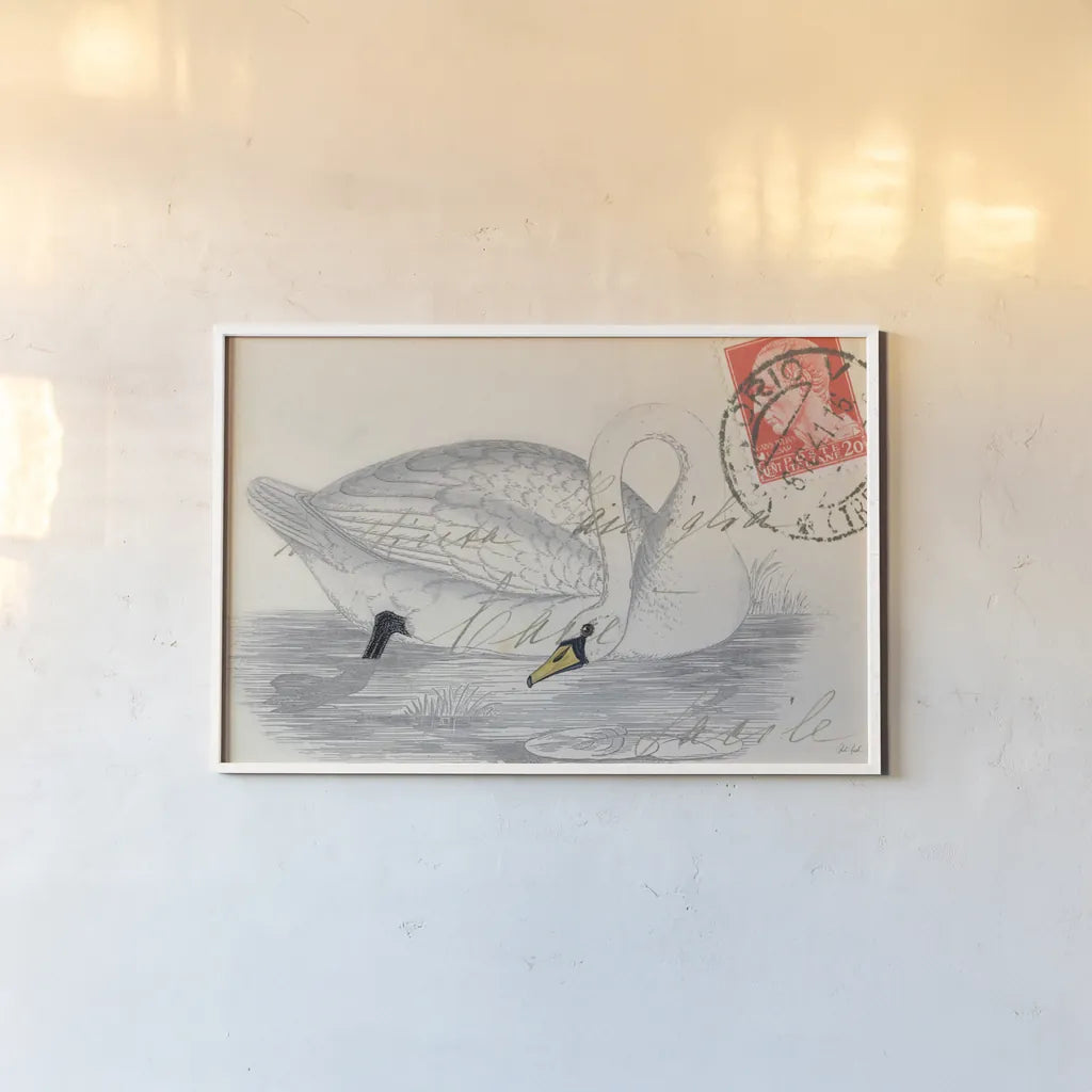 Vintage Swan by Deborah Revell. shown as a paper print in a white frame. Available as a archival giclee rolled canvas, fine art paper, or poster print. SKU 100615i.