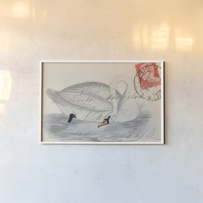 Vintage Swan by Deborah Revell. shown as a paper print in a white frame. Available as a archival giclee rolled canvas, fine art paper, or poster print. SKU 100615i.