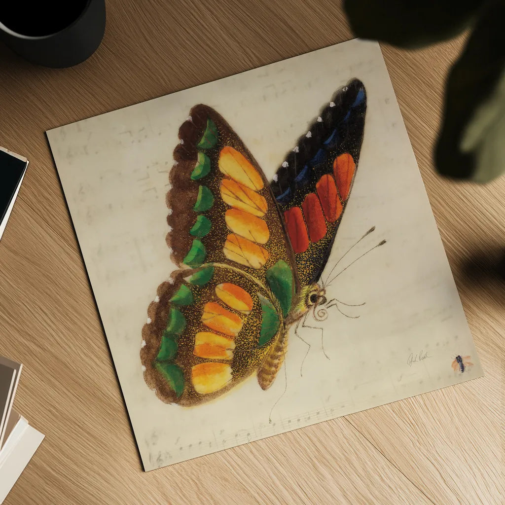 Vintage Yellow Butterfly by Deborah Revell. Shown as a detailed flat fine art print, highlighting archival giclee quality. Available as an archival giclee rolled canvas, fine art paper, or poster print. SKU 91128a.