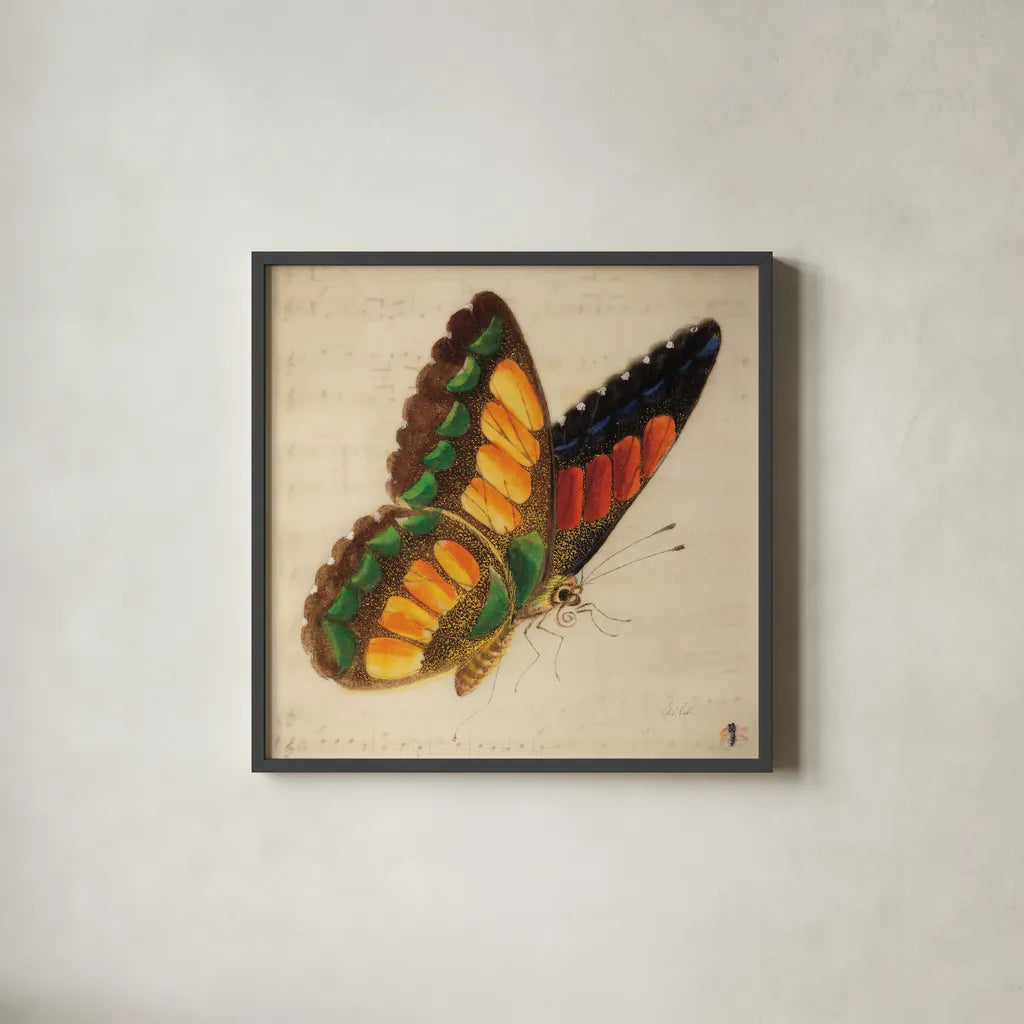 Vintage Yellow Butterfly by Deborah Revell. Shown in a sleek black glass frame for a contemporary gallery look. Available as an archival giclee rolled canvas, fine art paper, or poster print. SKU 91128a.