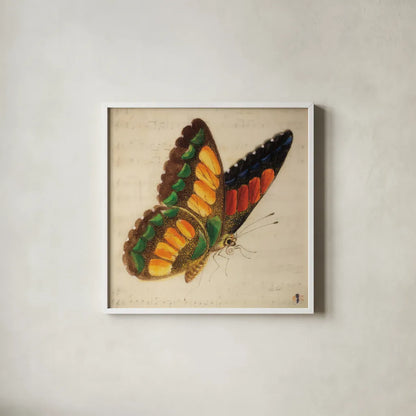 Vintage Yellow Butterfly by Deborah Revell. Shown in a crisp white glass frame for a clean and minimalist style. Available as an archival giclee rolled canvas, fine art paper, or poster print. SKU 91128a.