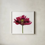 Viridiflora Tulip by Deborah Revell. Shown in a crisp white glass frame for a clean and minimalist style. Available as an archival giclee rolled canvas, fine art paper, or poster print. SKU 104468a.
