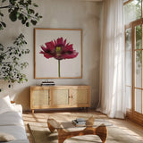 Viridiflora Tulip by Deborah Revell. Shown in a natural wood frame in a cozy modern living room. Available as an archival giclee rolled canvas, fine art paper, or poster print. SKU 104468a.