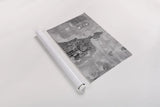 Volterra Wall by Deborah Revell. shown as a rolled paper print. Available as archival giclee rolled canvas, fine art paper, or poster print. SKU 93400h.