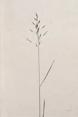 Wheat Grass I by Deborah Revell. SKU 91140h. Archival Giclee Fine art print for wall decor.