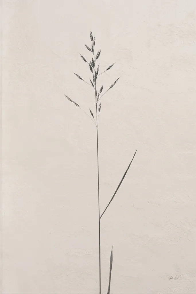 Wheat Grass I by Deborah Revell. SKU 91140h. Archival Giclee Fine art print for wall decor.