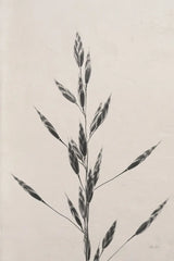 Wheat Grass II by Deborah Revell. SKU 91141h. Archival Giclee Fine art print for wall decor.