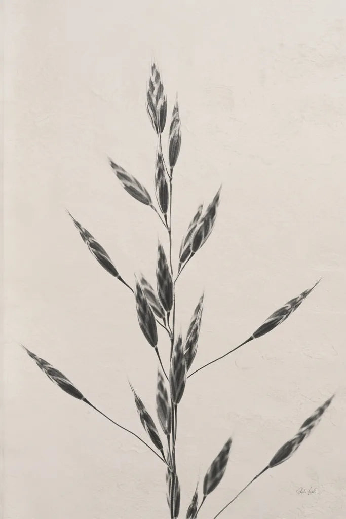 Wheat Grass II by Deborah Revell. SKU 91141h. Archival Giclee Fine art print for wall decor.