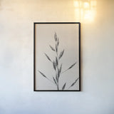 Wheat Grass II by Deborah Revell. shown as a paper print in a black flame. Available as a archival giclee rolled canvas, fine art paper, or poster print. SKU 91141h.