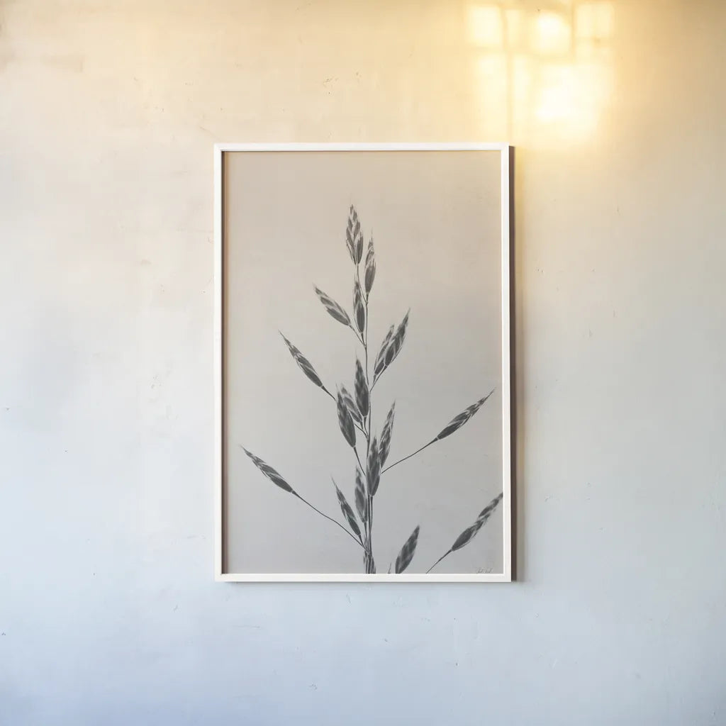 Wheat Grass II by Deborah Revell. shown as a paper print in a white frame. Available as a archival giclee rolled canvas, fine art paper, or poster print. SKU 91141h.