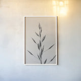 Wheat Grass II by Deborah Revell. shown as a paper print in a white frame. Available as a archival giclee rolled canvas, fine art paper, or poster print. SKU 91141h.