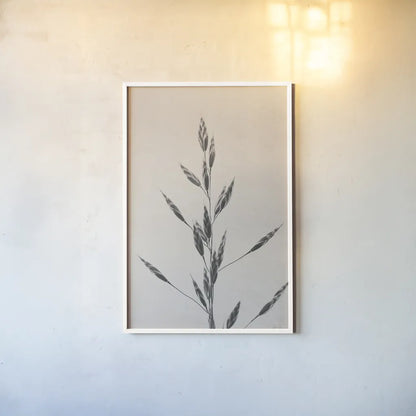 Wheat Grass II by Deborah Revell. shown as a paper print in a white frame. Available as a archival giclee rolled canvas, fine art paper, or poster print. SKU 91141h.