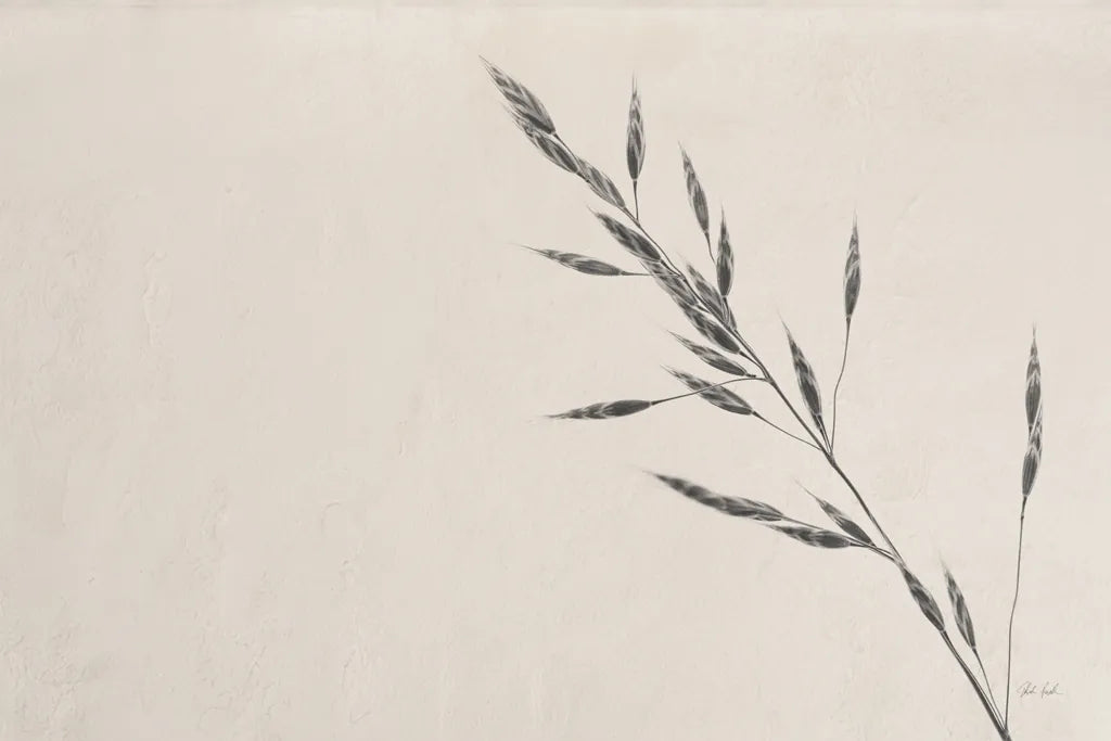 Wheat Grass III by Deborah Revell. SKU 94968i. Archival Giclee Fine art print for wall decor.