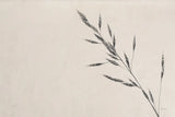 Wheat Grass III by Deborah Revell. SKU 94968i. Archival Giclee Fine art print for wall decor.