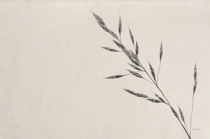 Wheat Grass III by Deborah Revell. SKU 94968i. Archival Giclee Fine art print for wall decor.