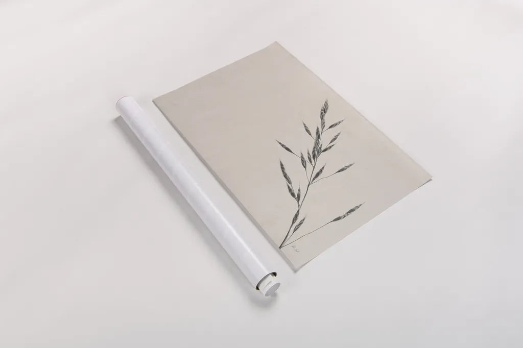 Wheat Grass III by Deborah Revell. shown as a rolled paper print. Available as archival giclee rolled canvas, fine art paper, or poster print. SKU 94968i.