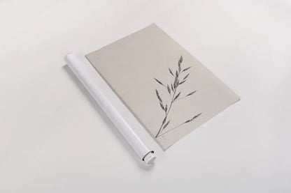 Wheat Grass III by Deborah Revell. shown as a rolled paper print. Available as archival giclee rolled canvas, fine art paper, or poster print. SKU 94968i.