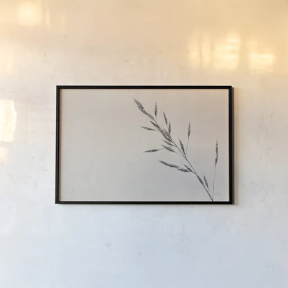 Wheat Grass III by Deborah Revell. shown as a paper print in a black flame. Available as a archival giclee rolled canvas, fine art paper, or poster print. SKU 94968i.