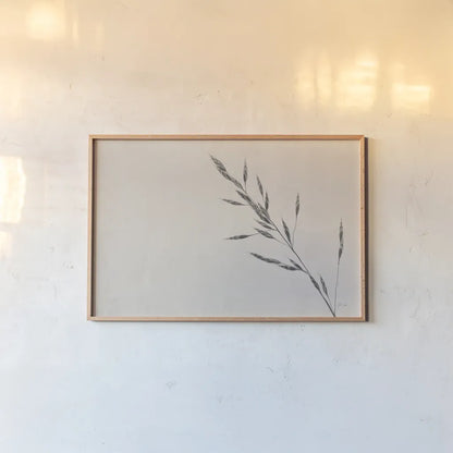 Wheat Grass III by Deborah Revell. shown as a paper print in a natural frame. Available as a archival giclee rolled canvas, fine art paper, or poster print. SKU 94968i.