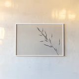 Wheat Grass III by Deborah Revell. shown as a paper print in a white frame. Available as a archival giclee rolled canvas, fine art paper, or poster print. SKU 94968i.