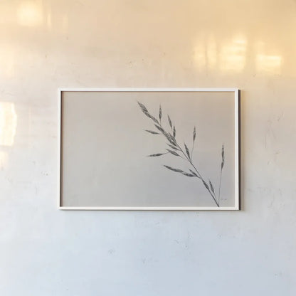 Wheat Grass III by Deborah Revell. shown as a paper print in a white frame. Available as a archival giclee rolled canvas, fine art paper, or poster print. SKU 94968i.