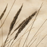 Whispering Rushes I by Deborah Revell. SKU 104295a. Archival Giclee Fine art print for wall decor.