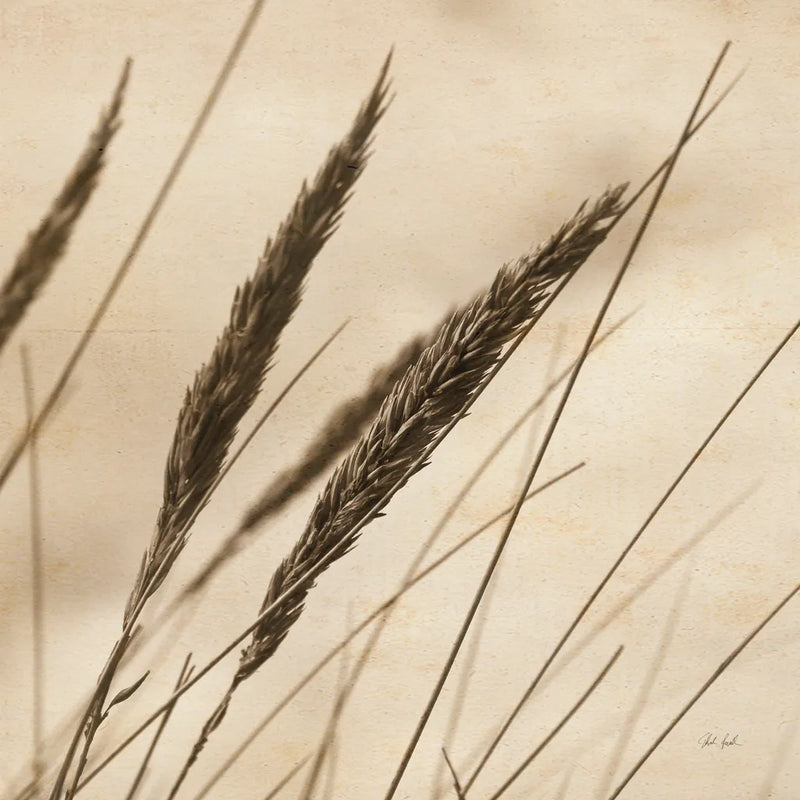 Whispering Rushes I by Deborah Revell. SKU 104295a. Archival Giclee Fine art print for wall decor.