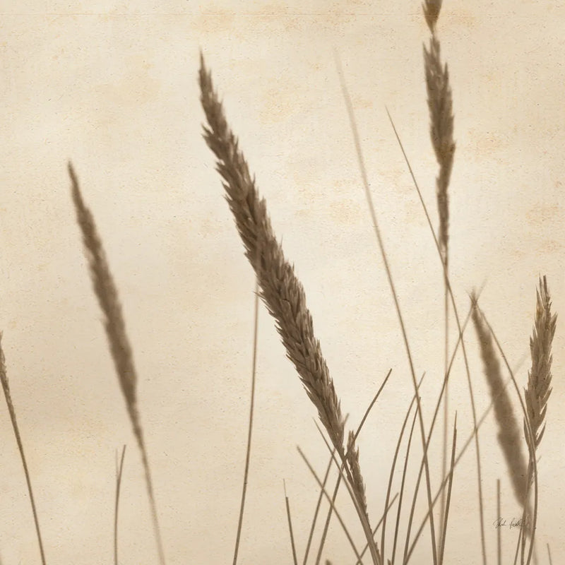Whispering Rushes II by Deborah Revell. SKU 104296a. Archival Giclee Fine art print for wall decor.