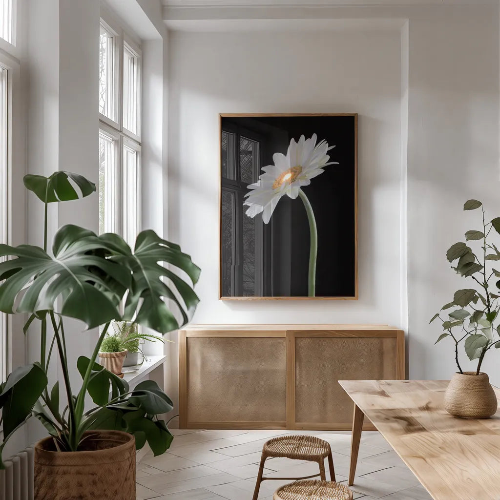 White Gerber Light by Deborah Revell. shown as a print in a natural wood frame in a dining room. Available as a archival giclee rolled canvas, fine art paper, or poster print. SKU 95332h.