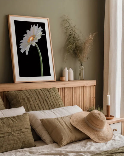 White Gerber Light by Deborah Revell. shown as a paper print in a natural frame. Available as a archival giclee rolled canvas, fine art paper, or poster print. SKU 95332h.