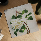 White Peony by Deborah Revell. Shown as a detailed flat fine art print, highlighting archival giclee quality. Available as an archival giclee rolled canvas, fine art paper, or poster print. SKU 92678a.