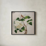 White Peony by Deborah Revell. Shown in a sleek black glass frame for a contemporary gallery look. Available as an archival giclee rolled canvas, fine art paper, or poster print. SKU 92678a.