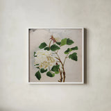 White Peony by Deborah Revell. Shown in a crisp white glass frame for a clean and minimalist style. Available as an archival giclee rolled canvas, fine art paper, or poster print. SKU 92678a.