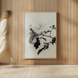 White Rose I BW by Deborah Revell. shown as over sized large wall art. Available as an archival giclee rolled canvas, fine art paper, or poster print. SKU 92612h.