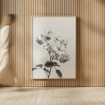 White Rose II BW by Deborah Revell. shown as over sized large wall art. Available as an archival giclee rolled canvas, fine art paper, or poster print. SKU 92613h.