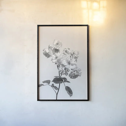 White Rose II BW by Deborah Revell. shown as a paper print in a black flame. Available as a archival giclee rolled canvas, fine art paper, or poster print. SKU 92613h.