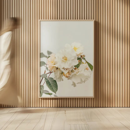 White Rose III by Deborah Revell. shown as over sized large wall art. Available as an archival giclee rolled canvas, fine art paper, or poster print. SKU 92611h.